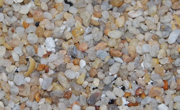 Substrates005ac.jpg