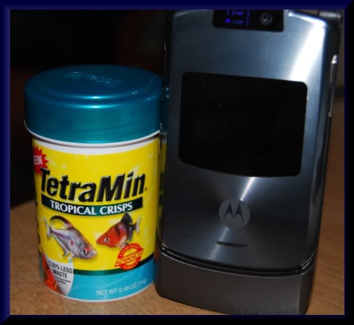 TetraMinTropicalCrisps005c.jpg