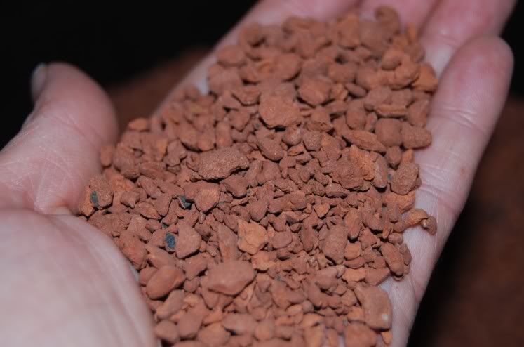 substrates013c.jpg