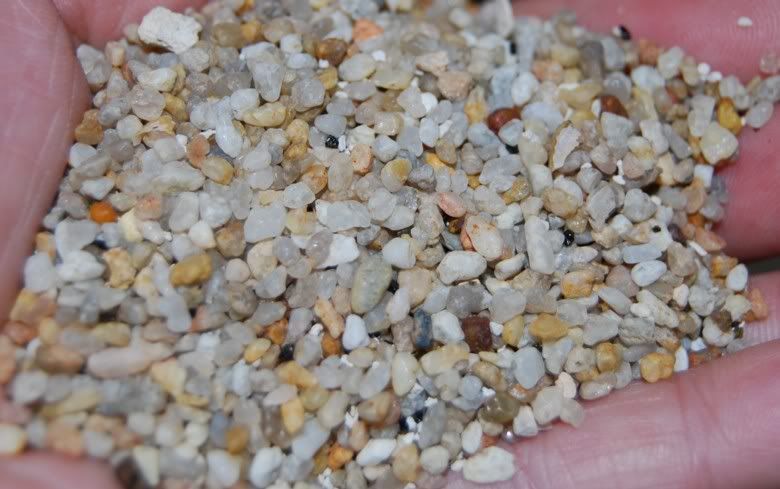 substrates016c.jpg