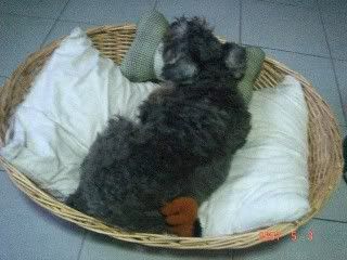 Photo Sharing and Video Hosting at Photobucket