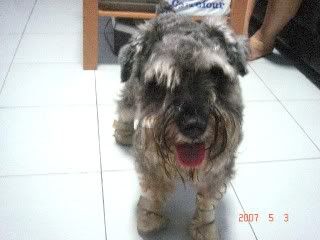 Photo Sharing and Video Hosting at Photobucket