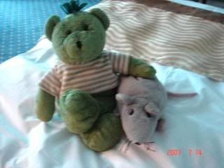 Photo Sharing and Video Hosting at Photobucket