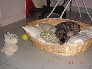 Photo Sharing and Video Hosting at Photobucket