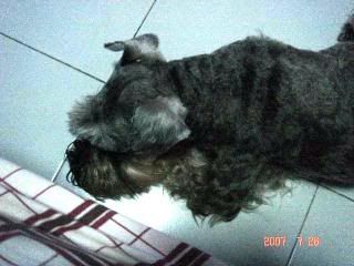 Photo Sharing and Video Hosting at Photobucket