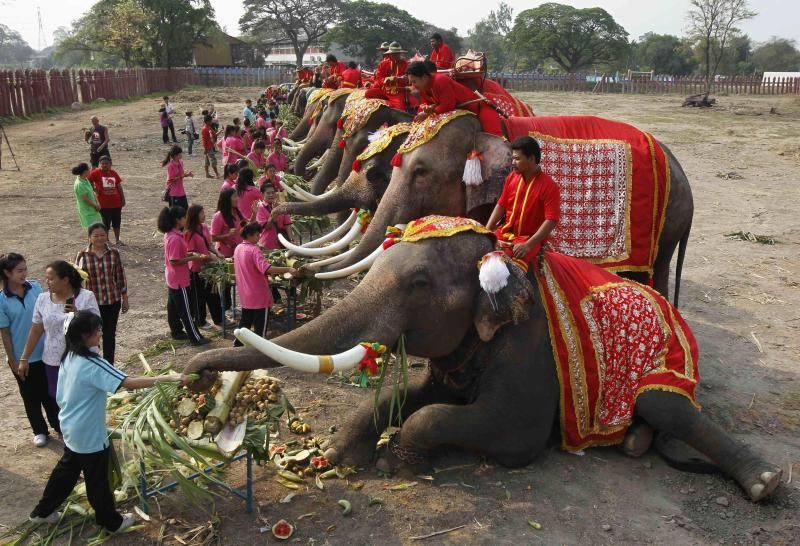 pc-140313-thailand-national-elephant-day