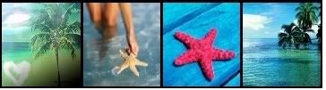 beach icons Pictures, Images and Photos