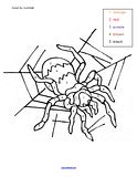 Spiders Theme Activities for Preschool PreK and Kindergarten