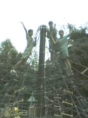 Image hosted by Photobucket.com