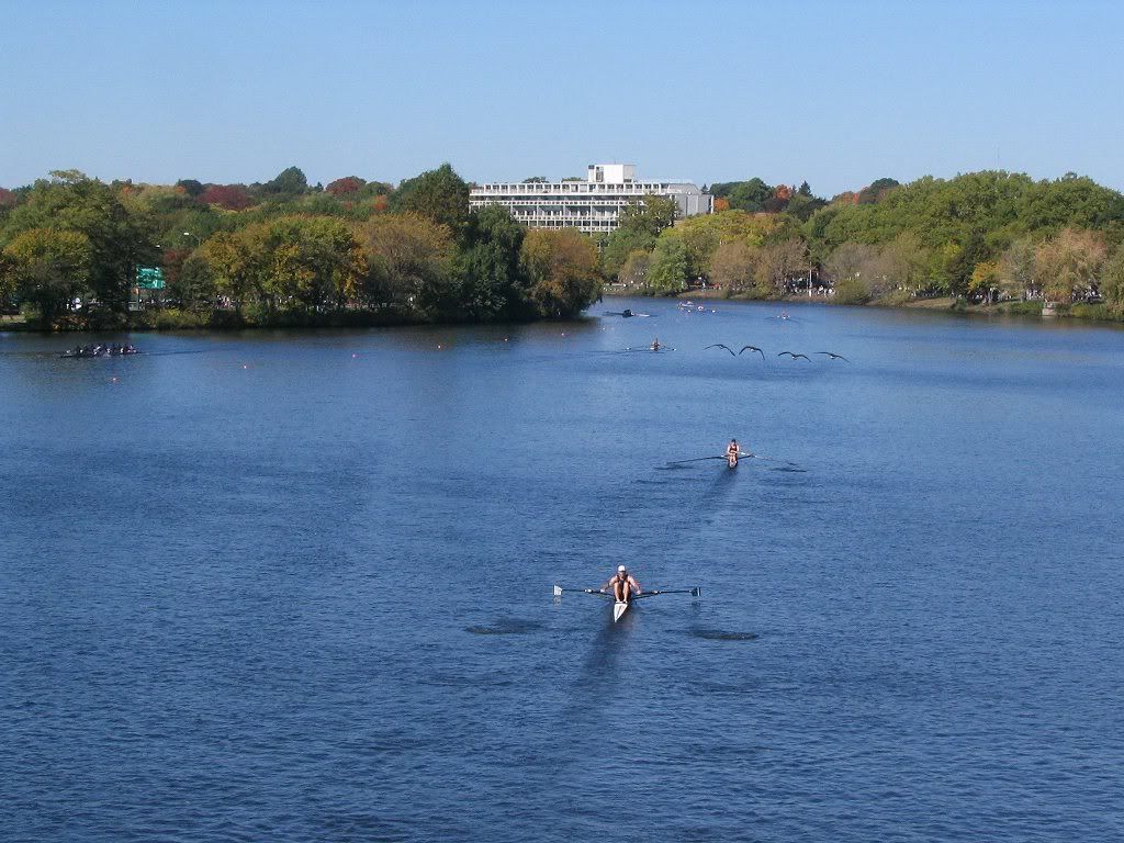 Head of the Charles Row Boat Race on the St Boston Massachusetts MA