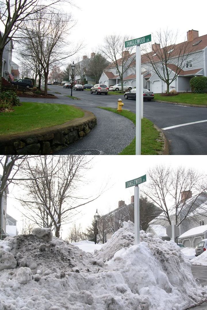 Tanglewood Lane Before and After the Snow