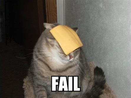 Cheese Cat Fail