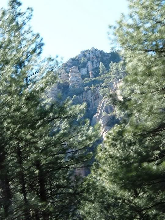 rocks and pine trees
