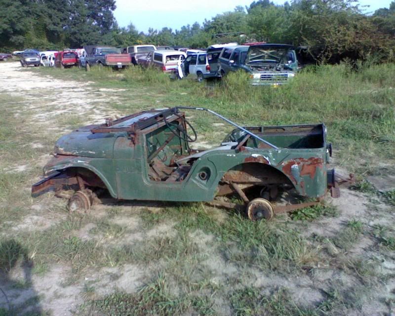 Forest jeep pisgah #3