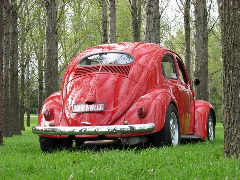 http://img.photobucket.com/albums/v419/montem/220608027.jpg