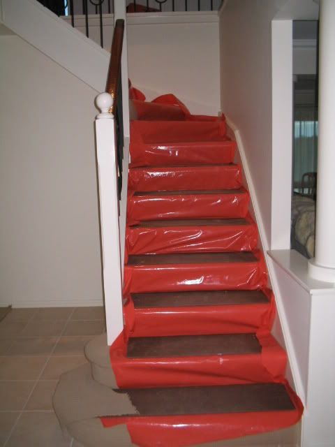 http://img.photobucket.com/albums/v419/montem/240704021.jpg http://img.photobucket.com/albums/v419/montem/240704021.jpg