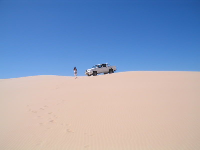 http://img.photobucket.com/albums/v419/montem/beachbuggyflowersdogscats281207041.jpg http://img.photobucket.com/albums/v419/montem/beachbuggyflowersdogscats281207041.jpg