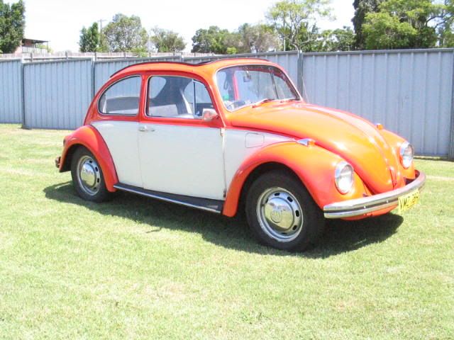 http://img.photobucket.com/albums/v419/montem/beetle012.jpg