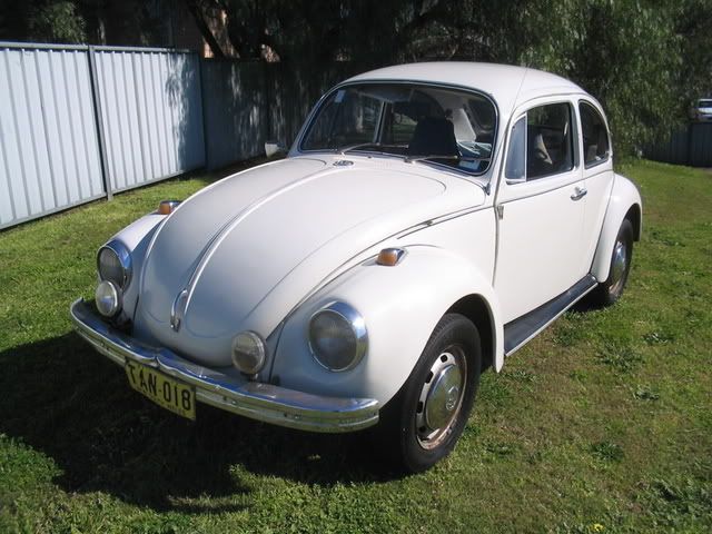 http://img.photobucket.com/albums/v419/montem/beetles006.jpg