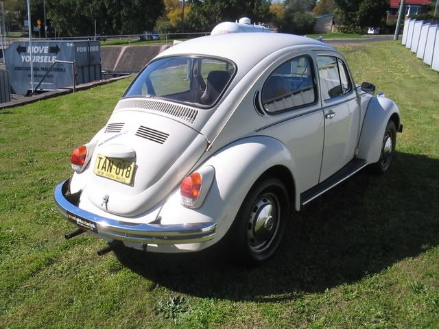 http://img.photobucket.com/albums/v419/montem/beetles009.jpg