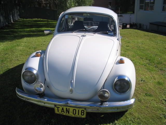 http://img.photobucket.com/albums/v419/montem/beetles010.jpg