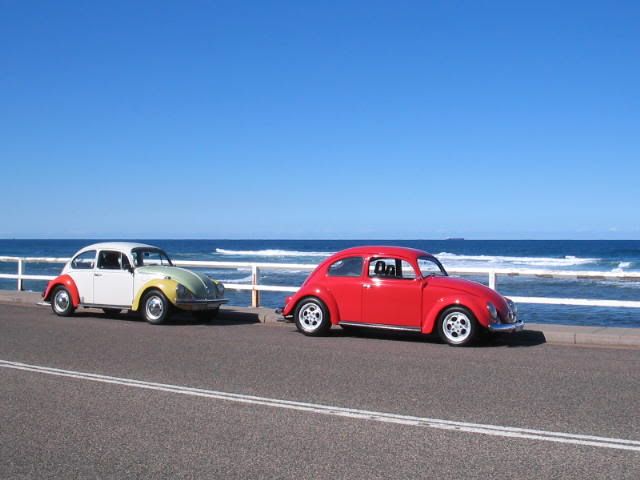 http://img.photobucket.com/albums/v419/montem/f9570153.jpg