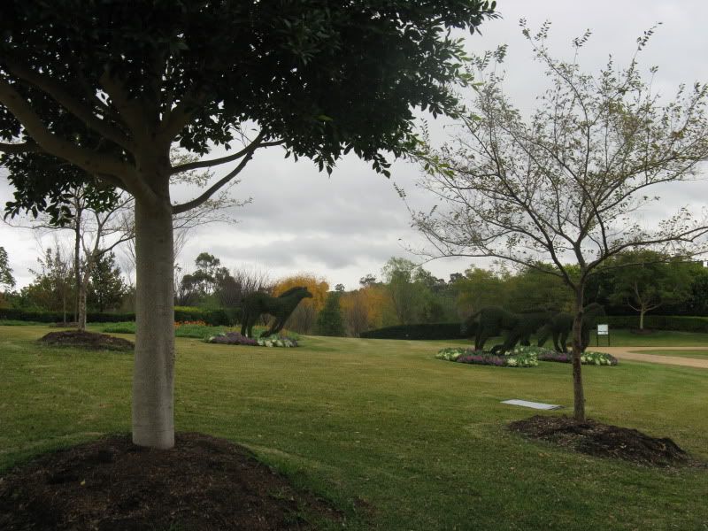 http://img.photobucket.com/albums/v419/montem/midwinterwanderJun09058.jpg