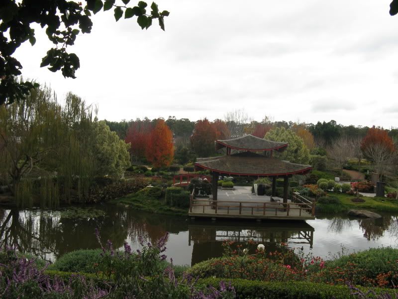 http://img.photobucket.com/albums/v419/montem/midwinterwanderJun09060.jpg http://img.photobucket.com/albums/v419/montem/midwinterwanderJun09060.jpg
