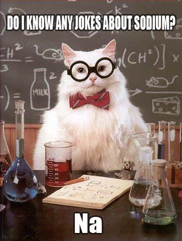 science kitty