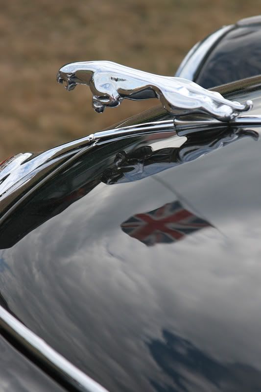 IMAGE: http://img.photobucket.com/albums/v420/LNStrikeEagle/Wheels15.jpg