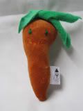 Carol the Carrot-Veggie Person
