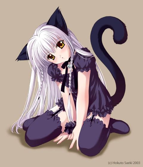 Catgirl7.jpg
