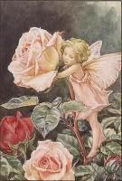 Rose Fairy by Cicely Mary Barker