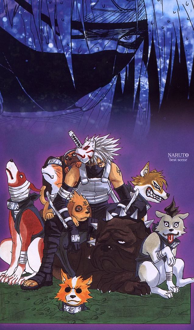 Image hosting by Photobucket