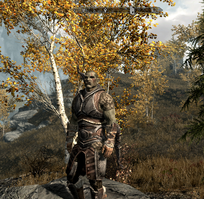 orc1.png