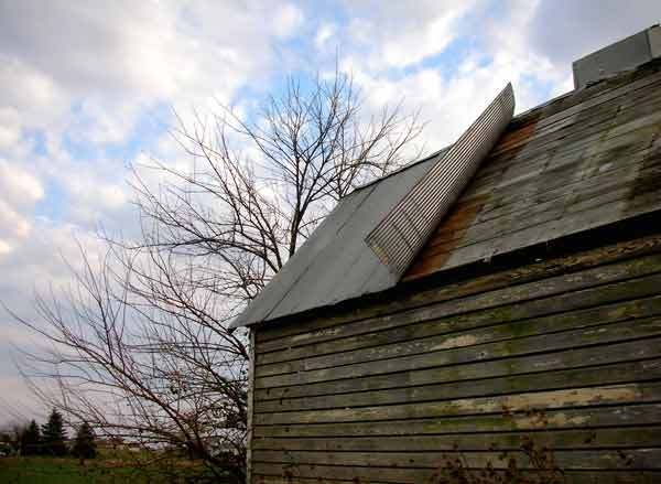 Tin Roof