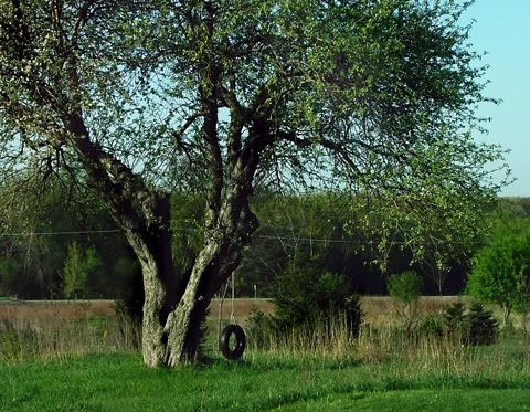 the farmers wife tire swing