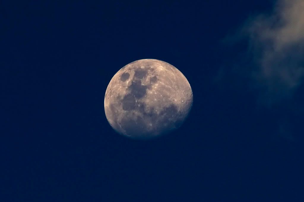 IMAGE: http://img.photobucket.com/albums/v424/150966/IMG_6318.jpg