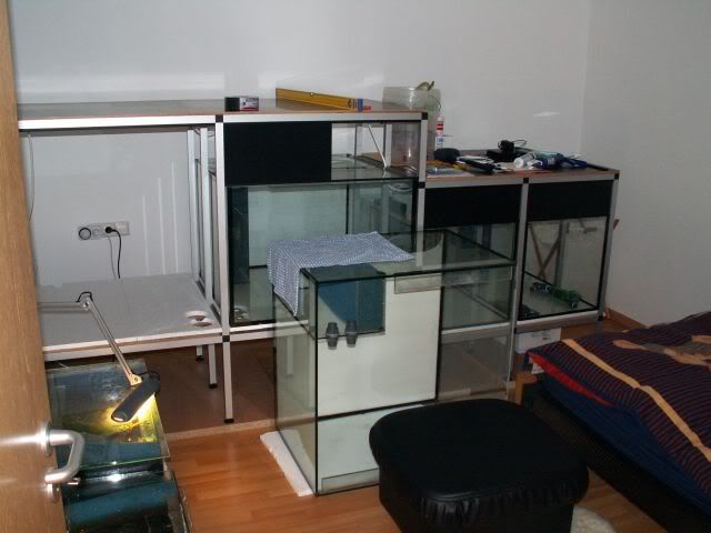 Forum: Sonstiges » Aufbaudoku meiner Schlafzimmeranlage | aqua4you.de