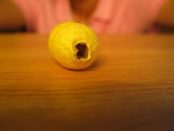 IMAGE: http://img.photobucket.com/albums/v424/NitroTang/Miscellaneous/IMG_0281.jpg