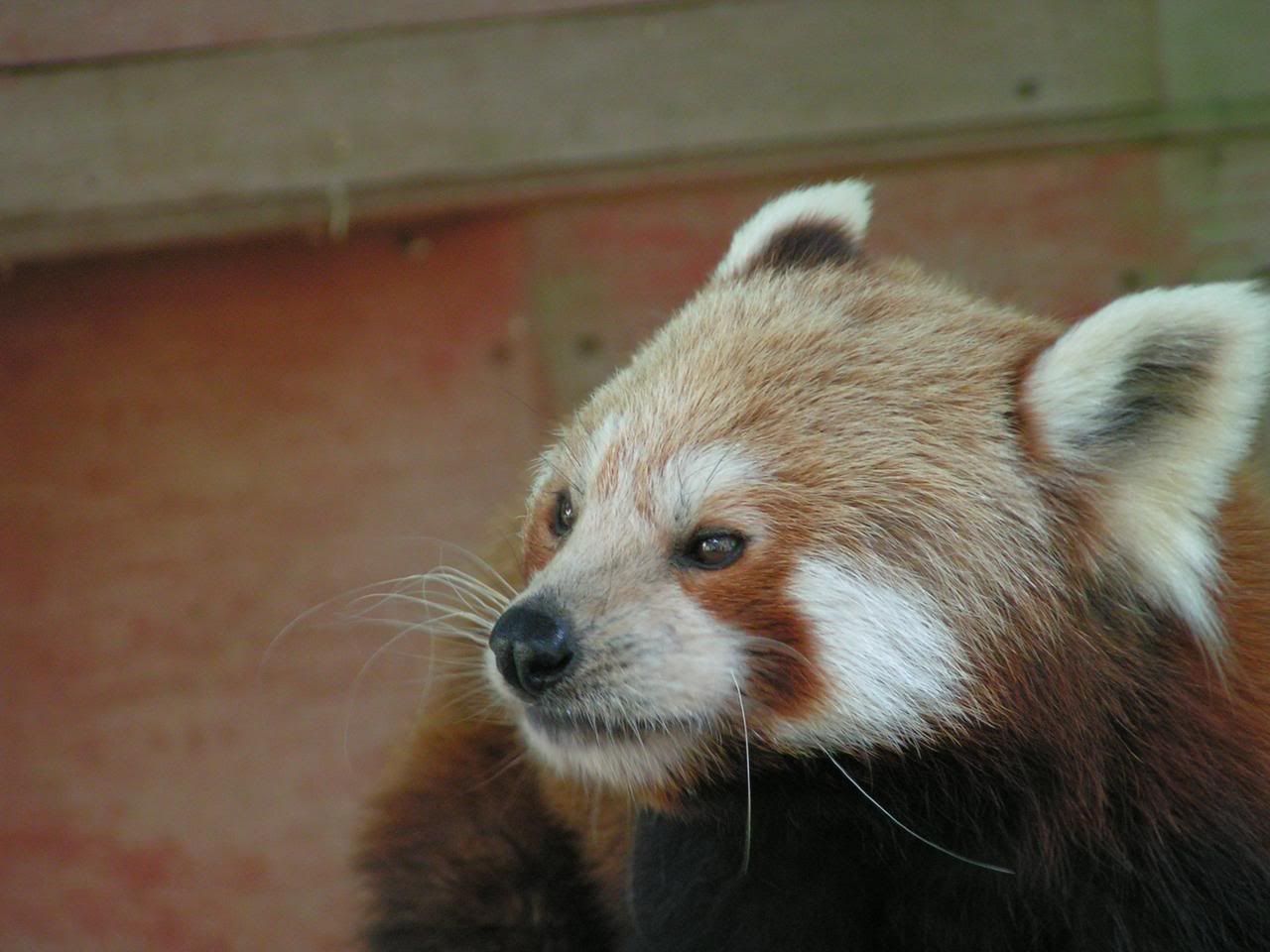 PICT0090.jpg