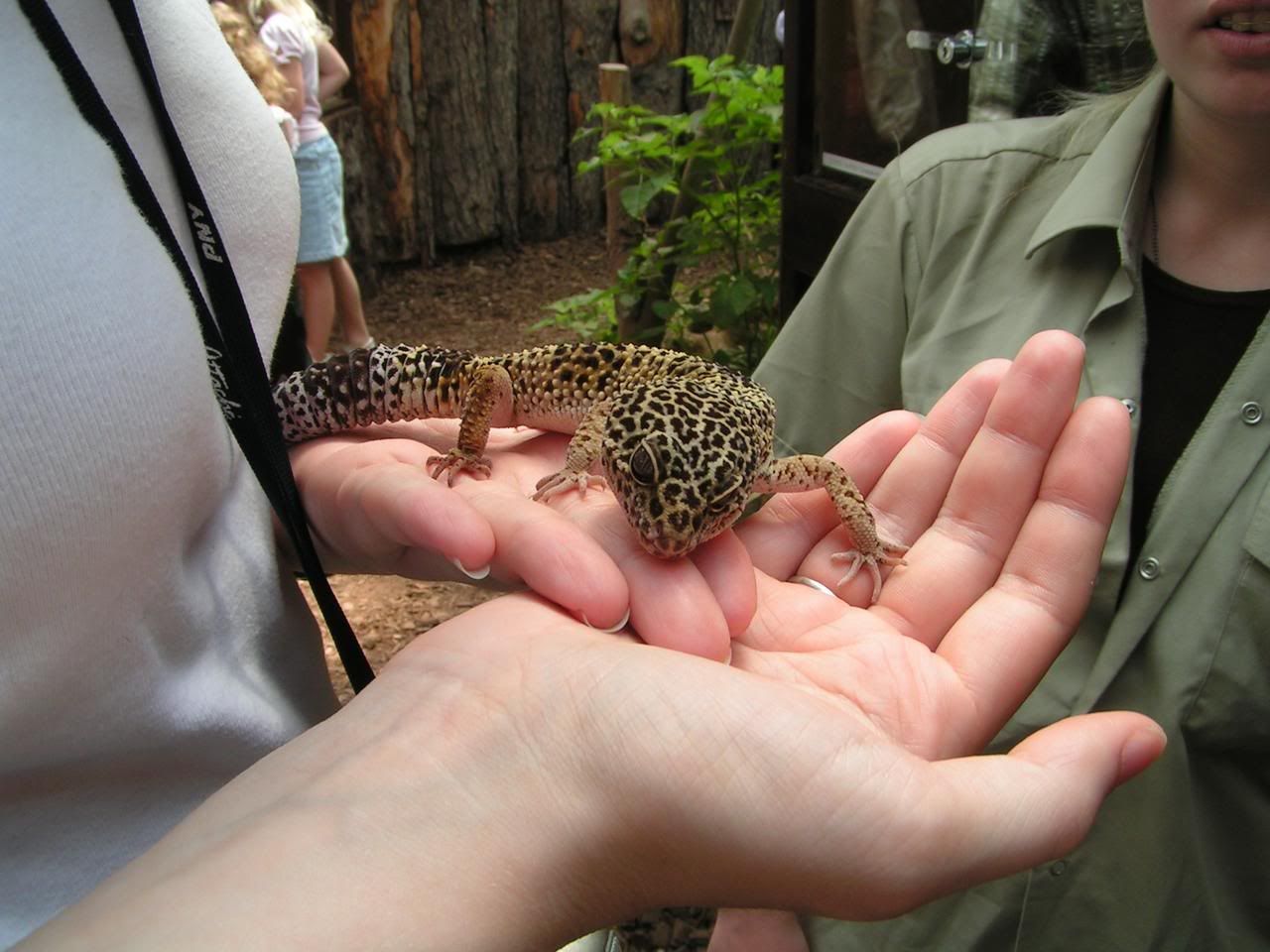 PICT0013.jpg