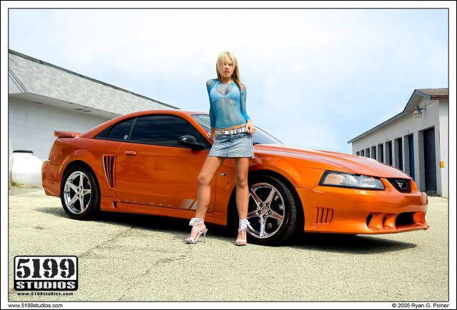 http://img.photobucket.com/albums/v424/spitfire_17/stuff/Saleen_Wallpaper_01_by_scarcrow28.jpg