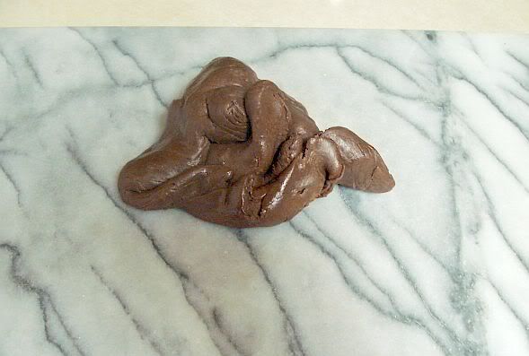 Chocolate Dog Poop