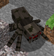 Spider.png