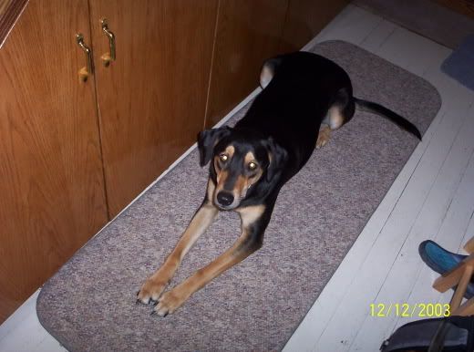 IMAGE: http://img.photobucket.com/albums/v425/Stephie6906/100_0010.jpg