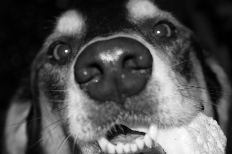 IMAGE: http://img.photobucket.com/albums/v425/Stephie6906/IMG_0289.jpg