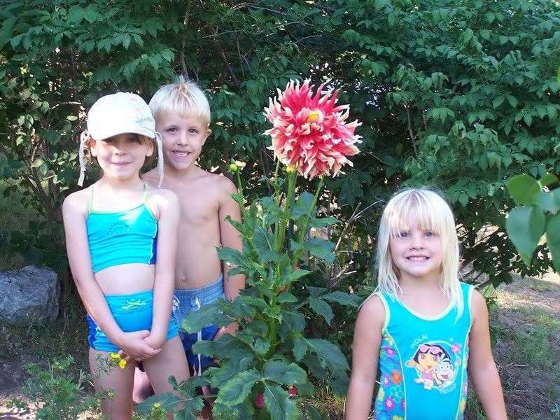 Photobucket - Video and Image Hosting