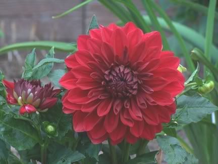 Image hosted by Photobucket.com