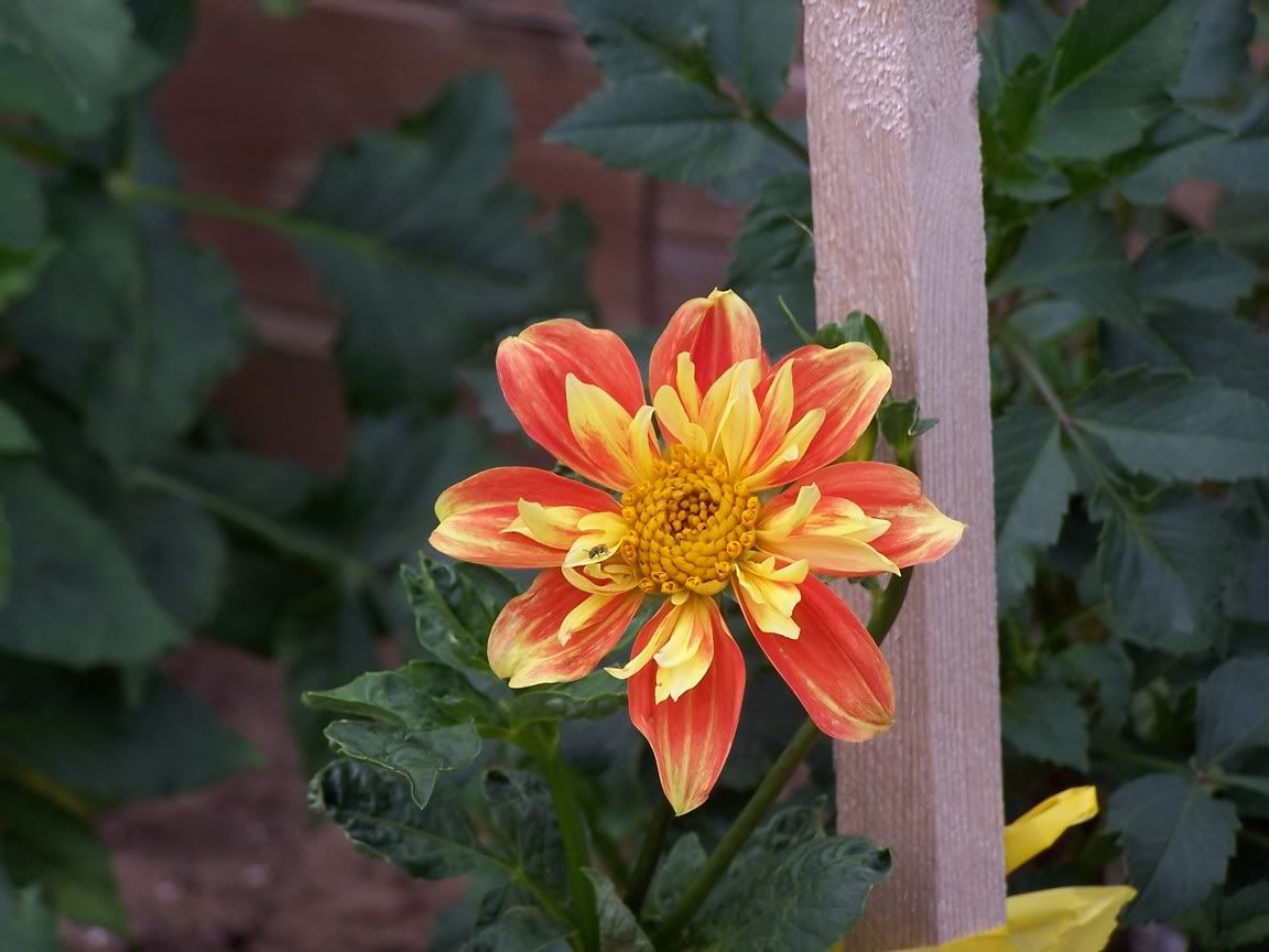 Image hosted by Photobucket.com